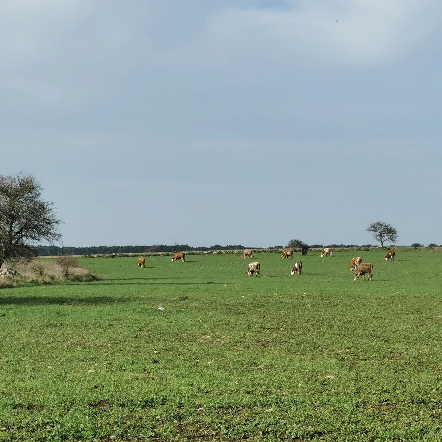 Natura e prodotti genuini