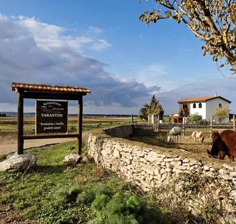 Masseria Tarantini